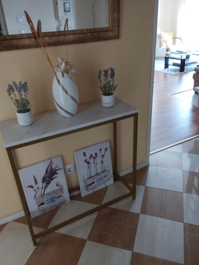 Alameda Residence 토마르 외부 사진